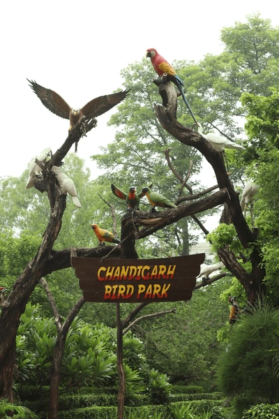 Chandigarh Bird Park